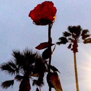 Send offers babes ❣️ tops $5 bucks if you bundle ! Shipping ASAP